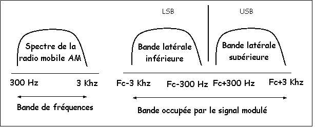 amblu.12.gif