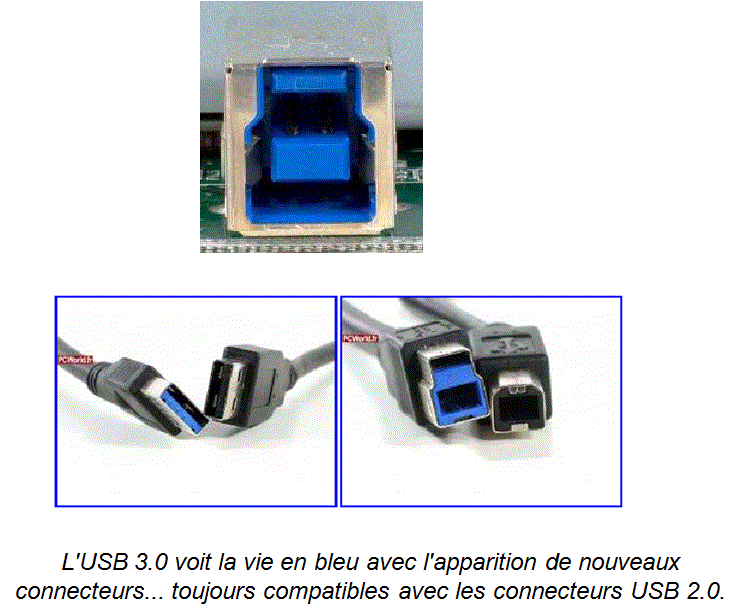 ordi06.gif